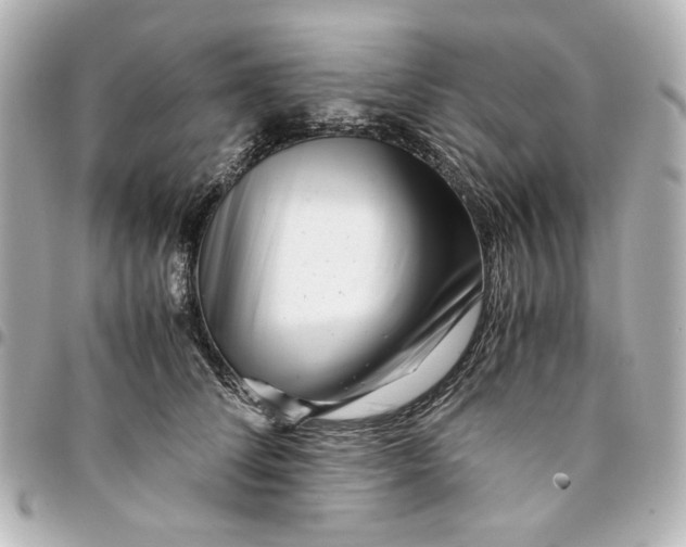 X0000094930708200712201053