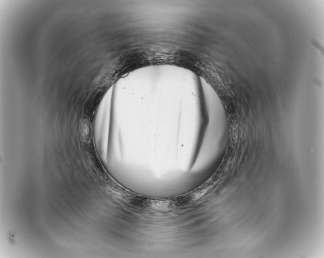 X0000094930709200712201053