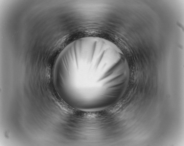 X0000094930710200712201053