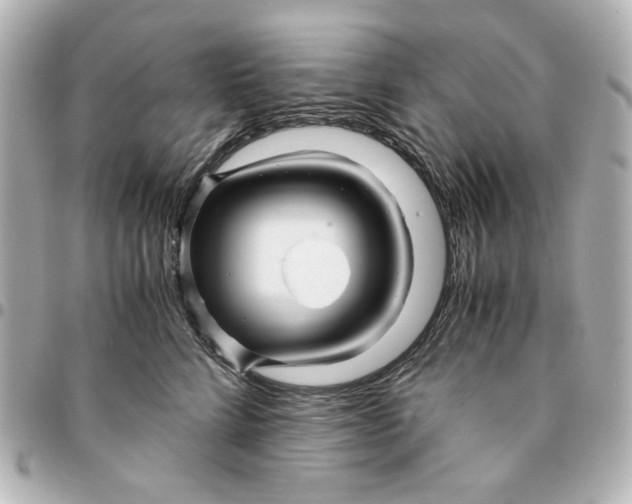 X0000094930712200712201053