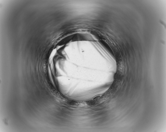 X0000094930715200712201053