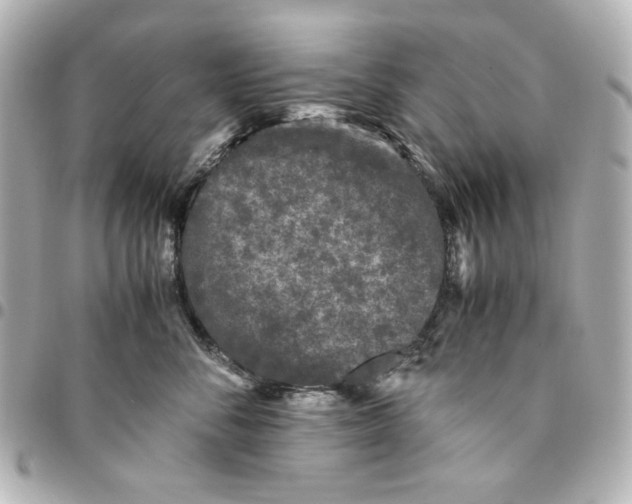 X0000094930716200712201053