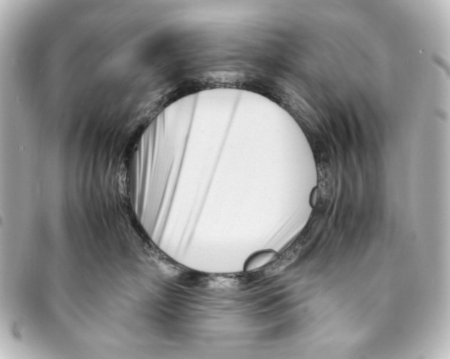 X0000094930718200712201052