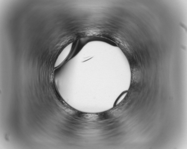 X0000094930719200712201052