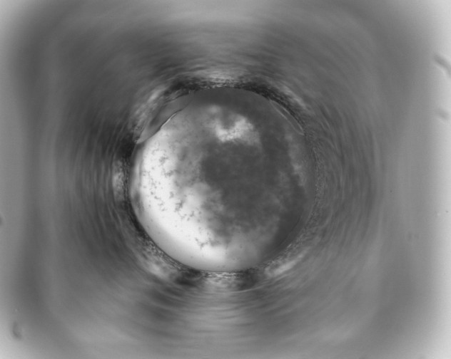 X0000094930720200712201052