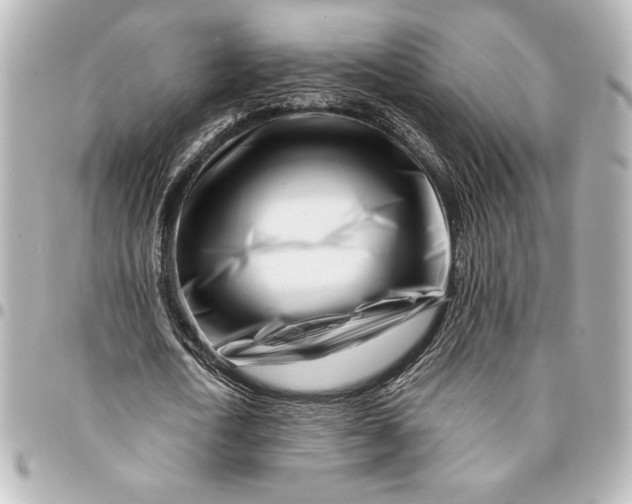 X0000094930722200712201052