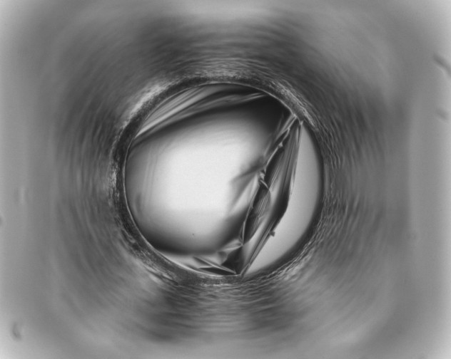 X0000094930723200712201052