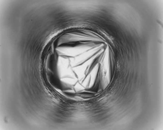 X0000094930724200712201052
