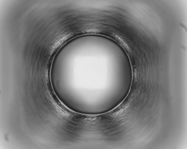 X0000094930725200712201052