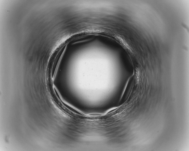 X0000094930726200712201052
