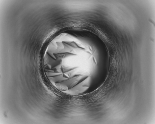X0000094930730200712201052