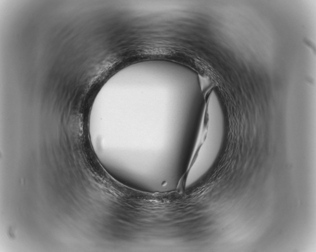 X0000094930731200712201052