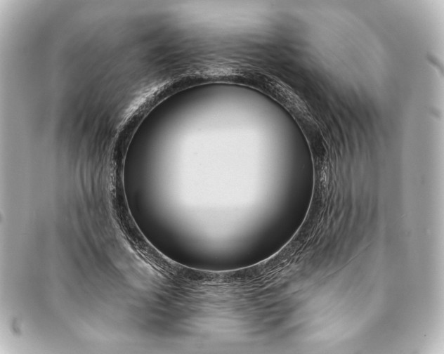 X0000094930732200712201052