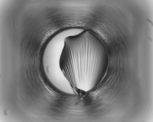 X0000094930736200712201052