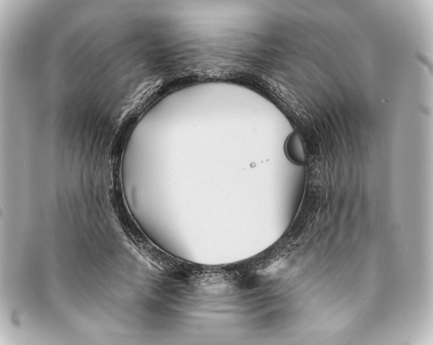 X0000094930738200712201052