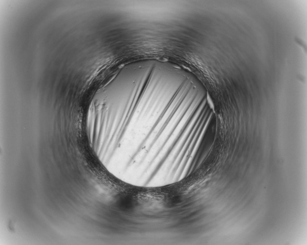 X0000094930739200712201052