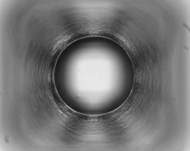 X0000094930740200712201052