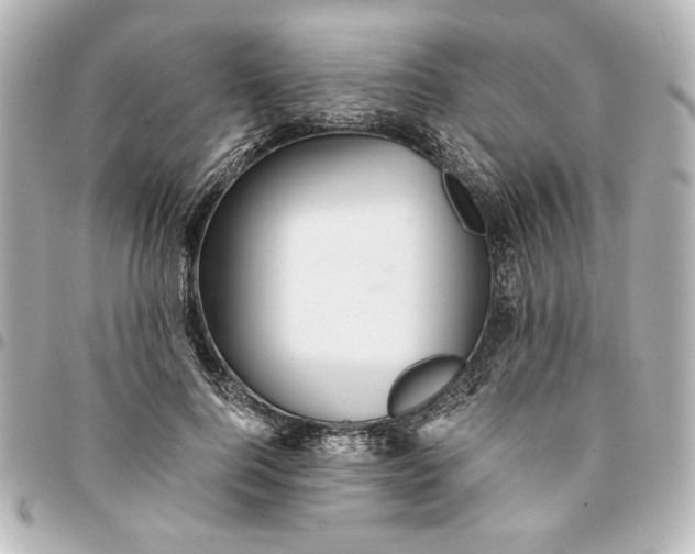 X0000094930744200712201052