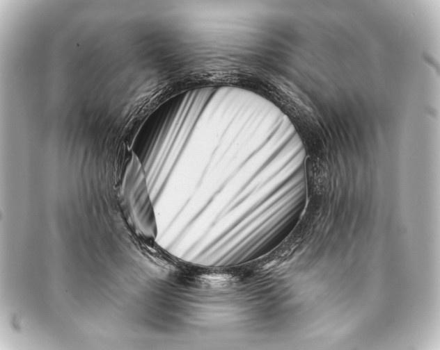 X0000094930748200712201052