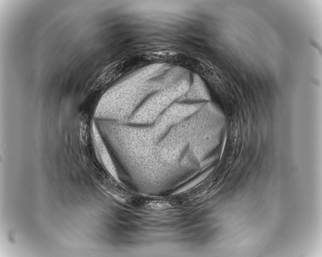 X0000094930749200712201052