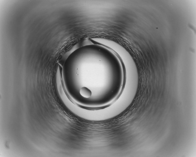 X0000094930750200712201052