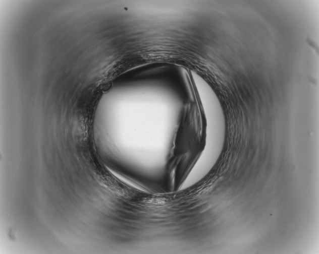X0000094930751200712201052