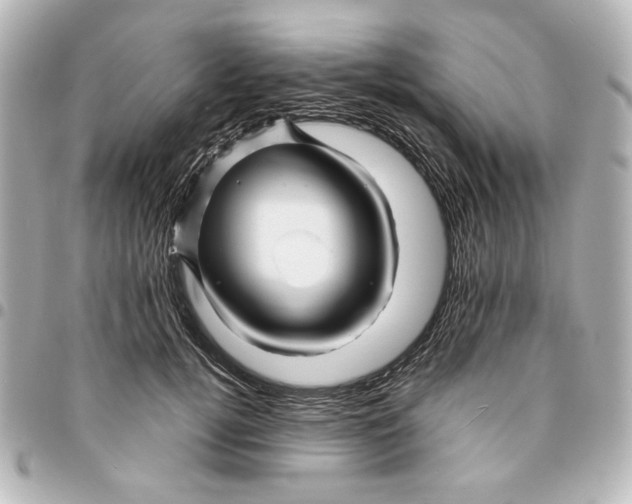 X0000094930752200712201052