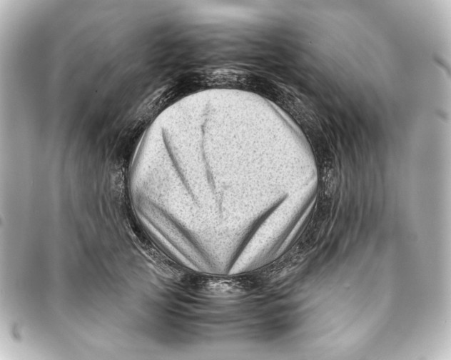 X0000094930753200712201052