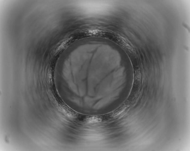 X0000094930754200712201052