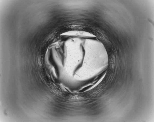 X0000094930755200712201052