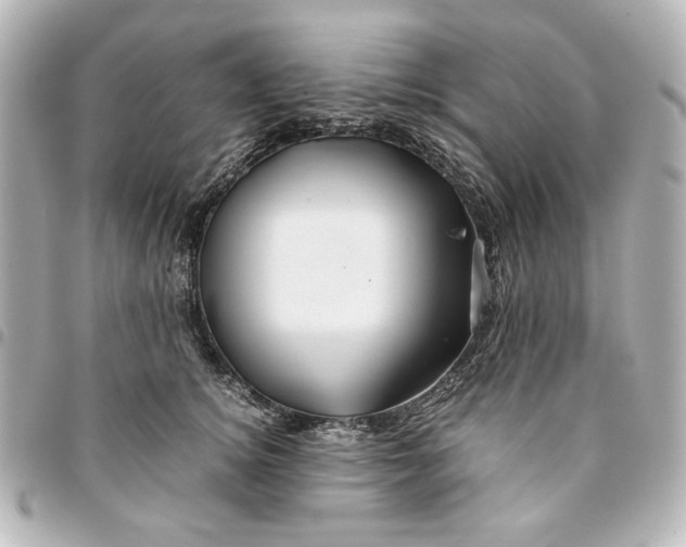X0000094930756200712201052
