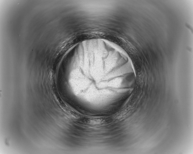 X0000094930757200712201052