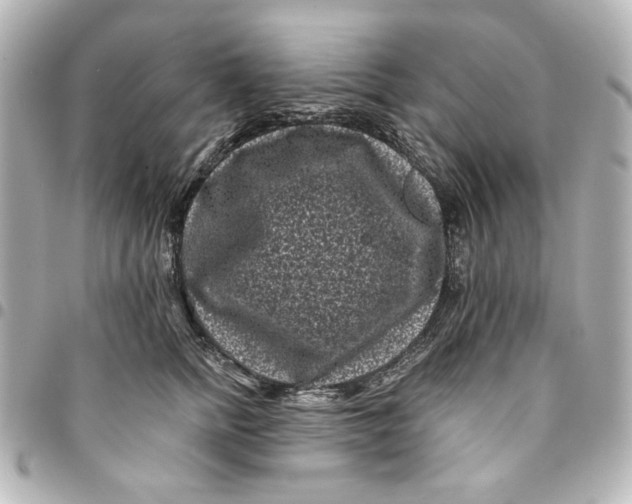 X0000094930758200712201052