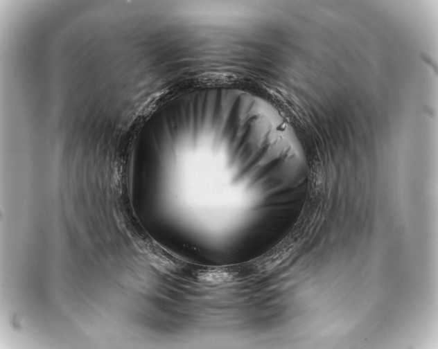 X0000094930759200712201052