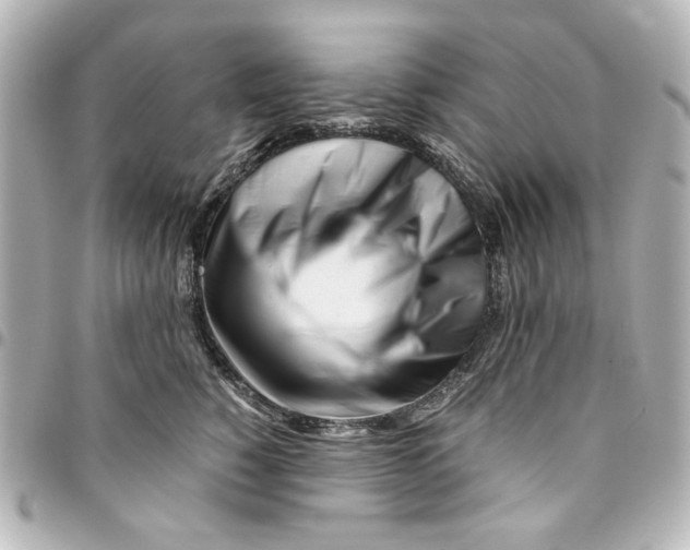 X0000094930760200712201052