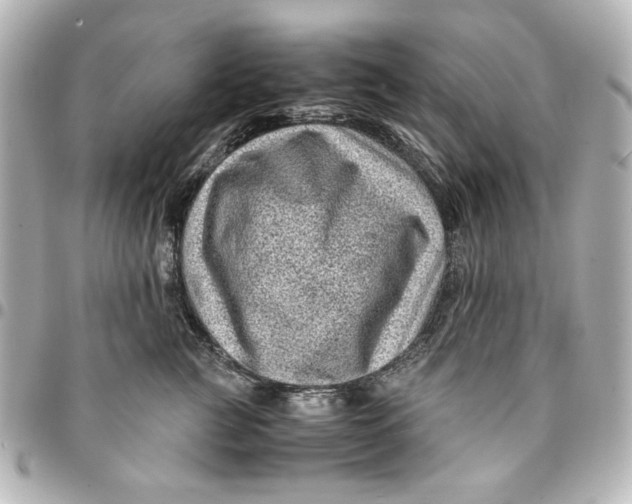 X0000094930761200712201052