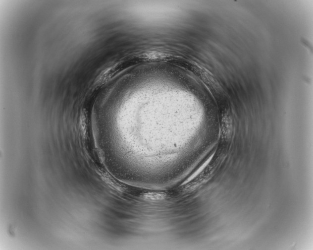 X0000094930762200712201052