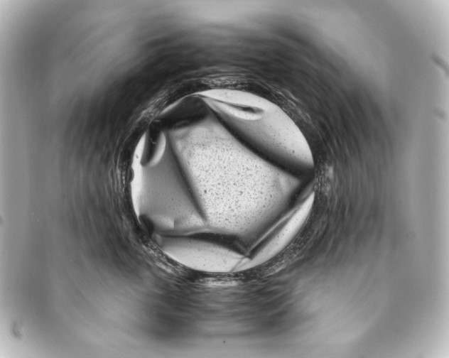 X0000094930763200712201052