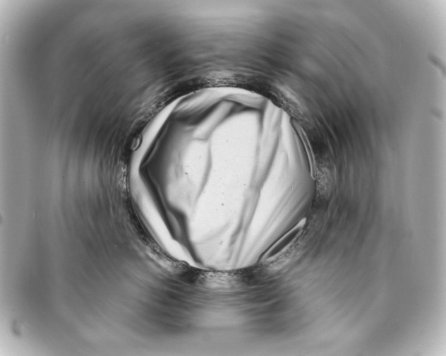 X0000094930766200712201052