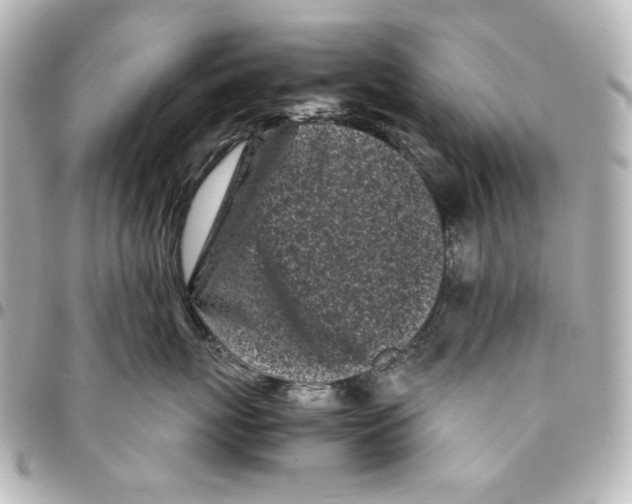 X0000094930767200712201052