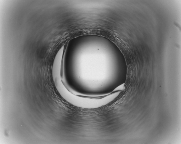 X0000094930770200712201052