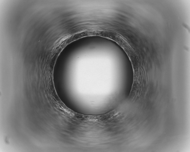 X0000094930773200712201052