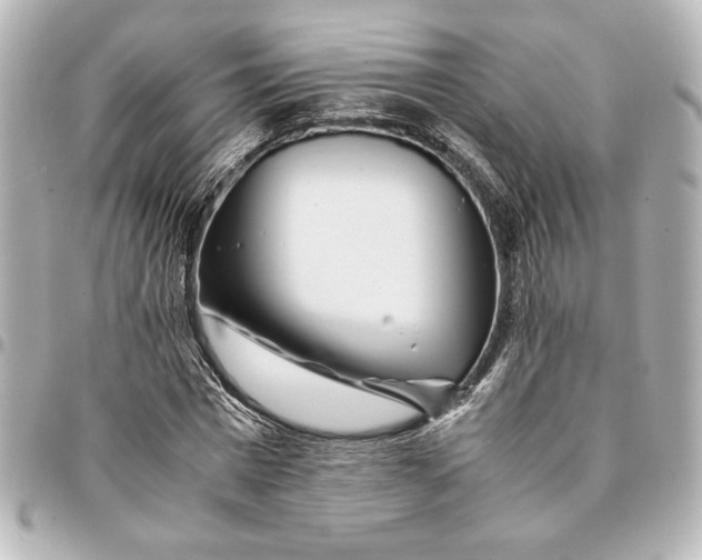 X0000094930777200712201052
