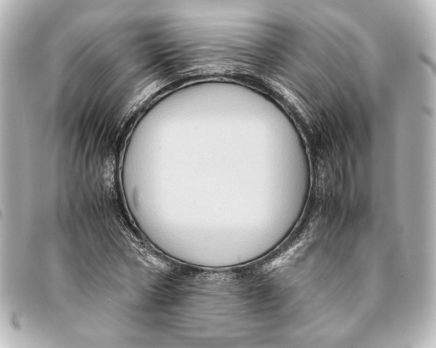 X0000094930778200712201052