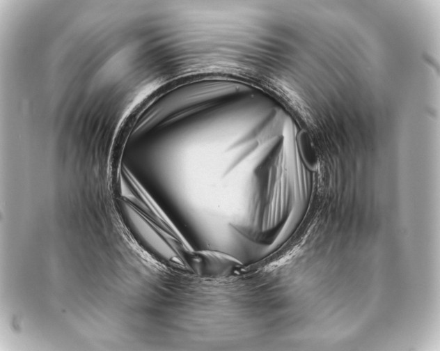 X0000094930780200712201052