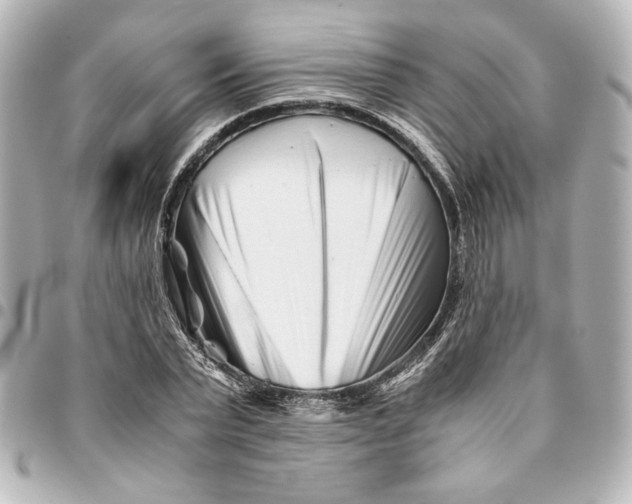 X0000094930783200712201051