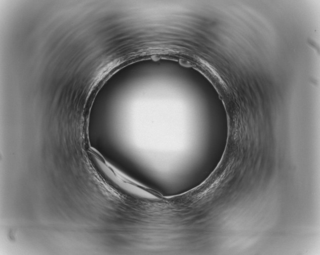 X0000094930786200712201051