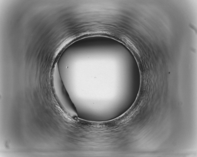 X0000094930789200712201051