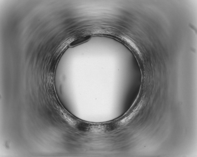 X0000094930793200712201051