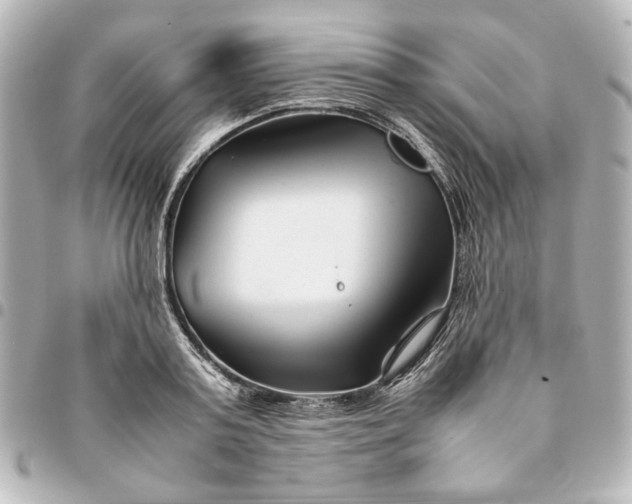 X0000094930795200712201051